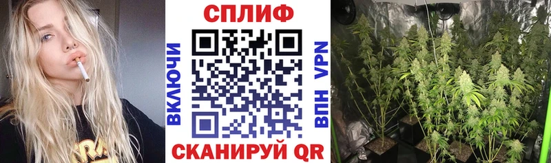 Купить наркотики Павлово МЕТАДОН НБОМе Меф Кокаин Псилоцибиновые грибы