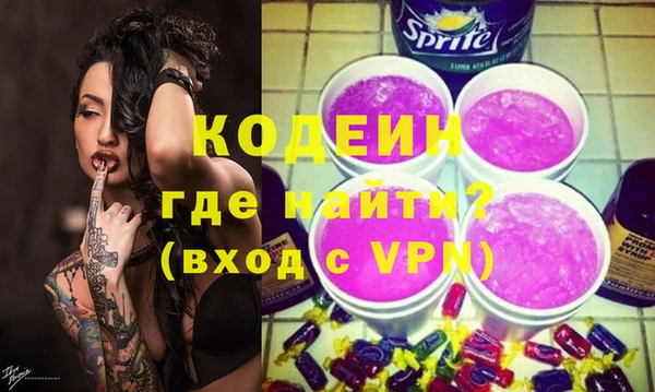 МДПВ Пересвет