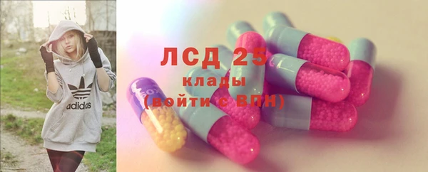 МДПВ Пересвет