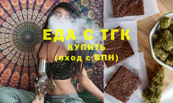 МДПВ Пересвет