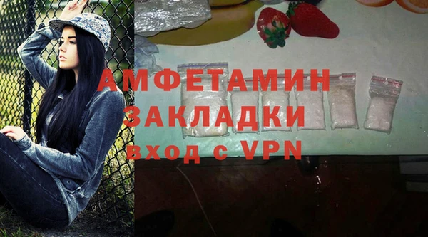 МДПВ Пересвет