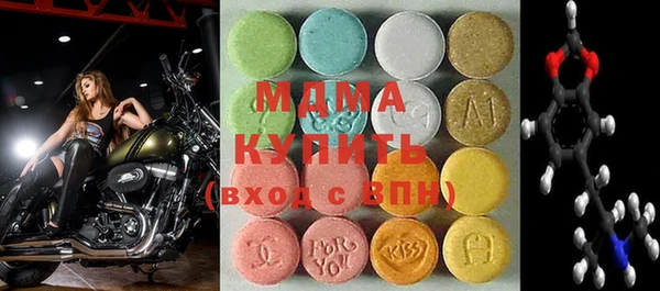 МДПВ Пересвет