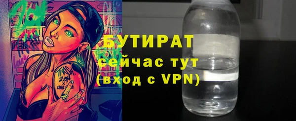 МДПВ Пересвет