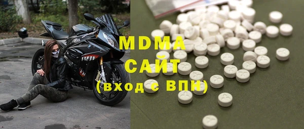 МДПВ Пересвет