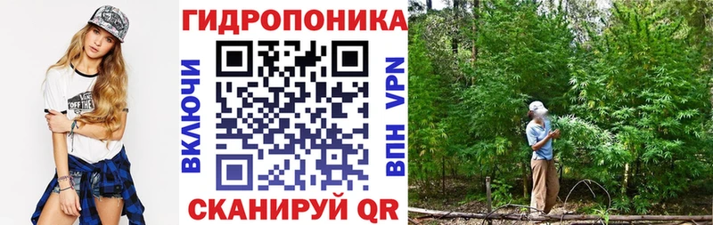 Шишки марихуана AK-47  дарнет шоп  Павлово 
