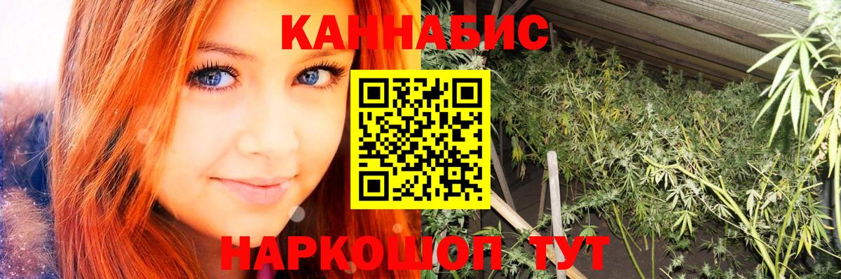 Канабис Ganja Павлово